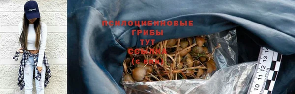 ГАЛЛЮЦИНОГЕННЫЕ ГРИБЫ Алексин